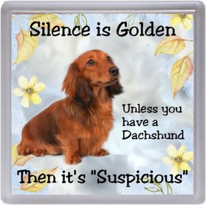 Dachshund Longhaired Dog Coaster Silence Is Golden Unless