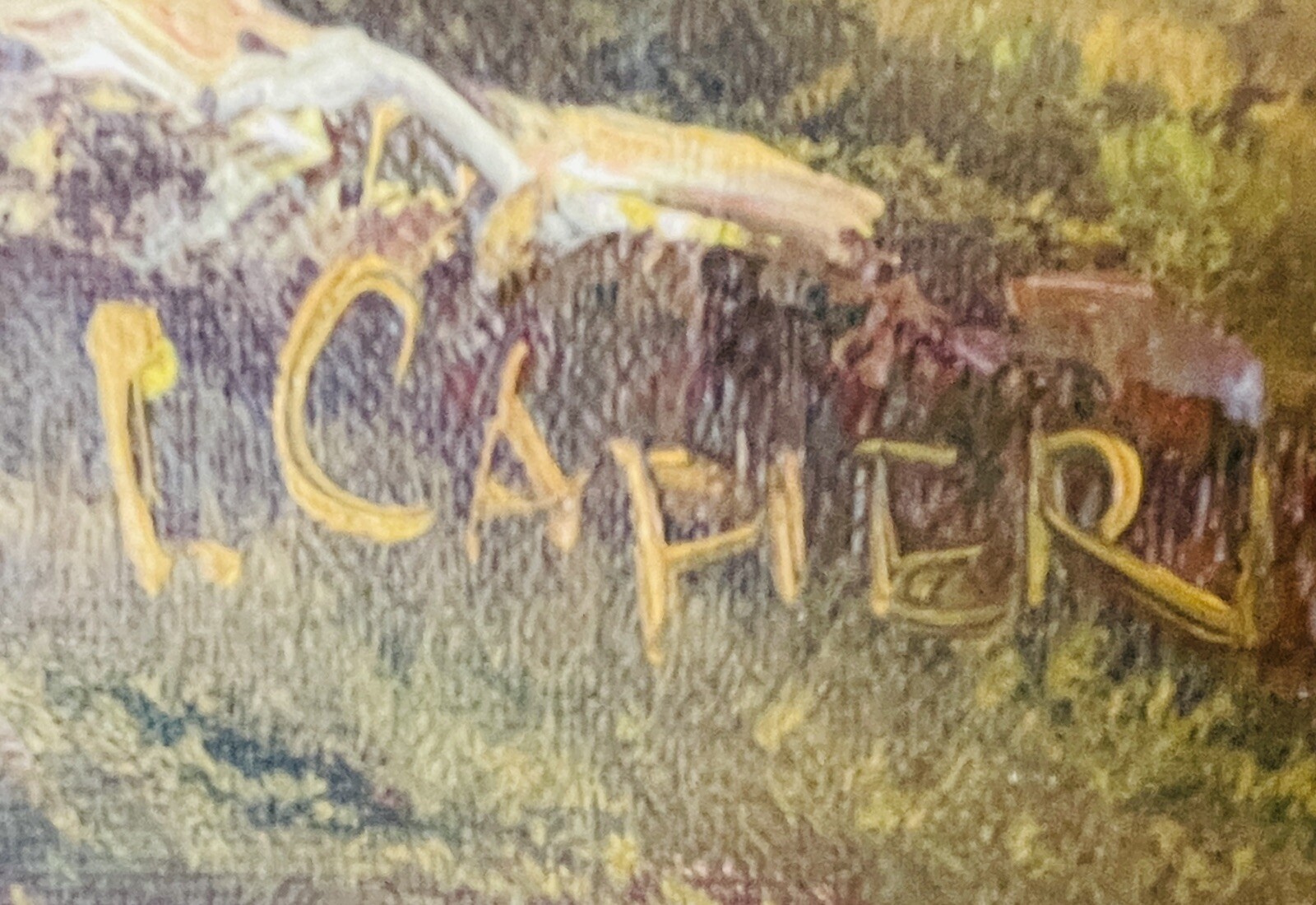 Picture 7 of 7