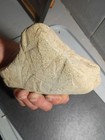 Native Artifacts — photo 8