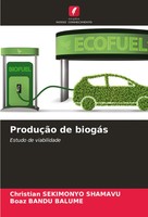 Christian Sekimonyo Shamavu (U. A.) | ProduçãO De BiogáS | Taschenbuch (2024)