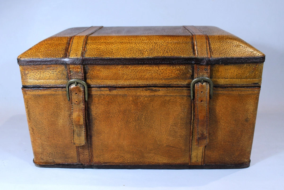 25+ Leather Original Antique Trunks and Chests for sale | Updated
