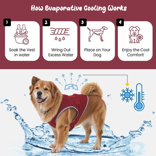 Dog Cooling Vest with Lightweight Breathable Mesh and Reflective Striping - Picture 18 of 20