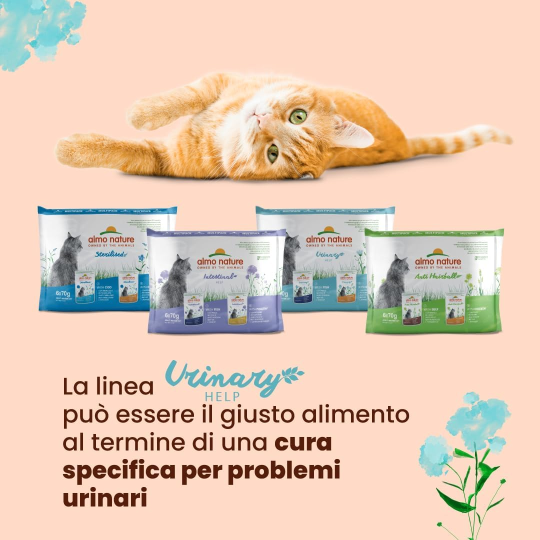 Foto 2 di 12