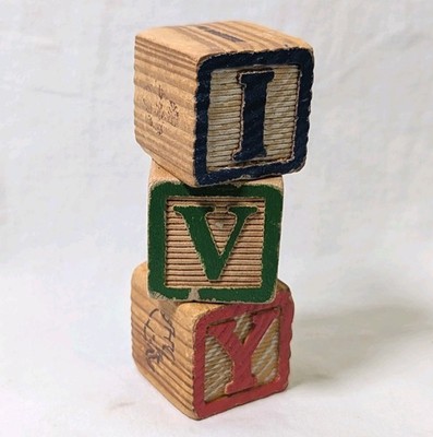 IVY Vintage Halsam Wood Blocks Botanical Nursery Decor Baby Name Prop Playskool