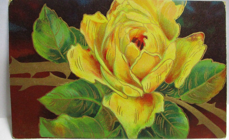 1910 POSTCARD LARGE YELLOW ROSE, GOLD TRIM