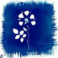 Painted Zeros - Floriography - Vinyl Record - F600Z