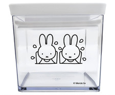 Miffy Dick Bruna Canister S Playing in the water 11x10.5cm 700ml Licensed Japan