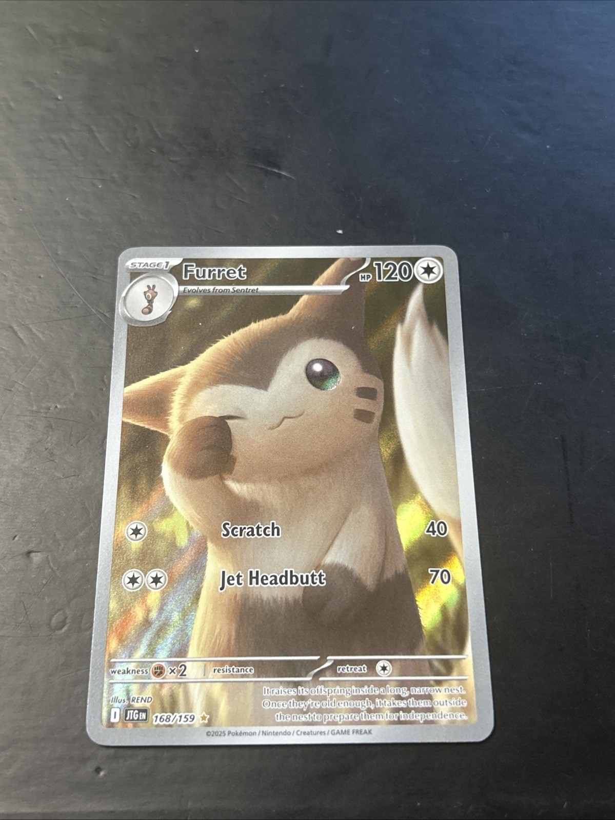 Pokemon Furret 168/159 Holo Illustration Rare Journey Together