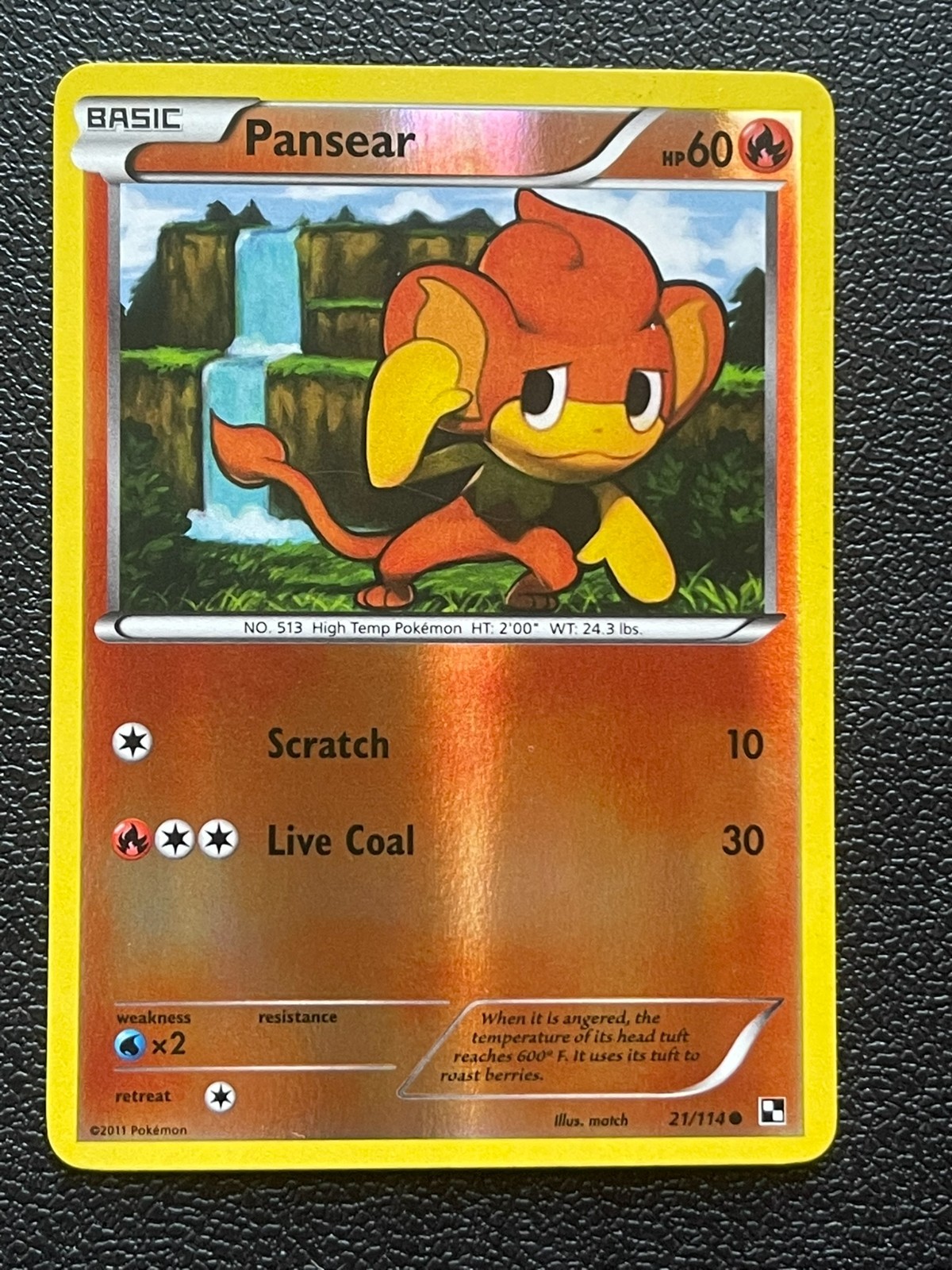 POKEMON PANSEAR #21/114 COMMON REVERSE HOLOFOIL BLACK & WHITE NM CARD