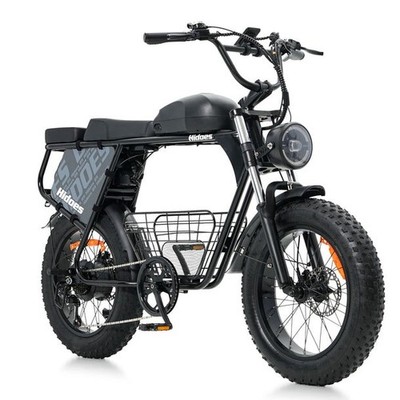 Hidoes B9 750W Elektrofahrrad 48V 33,8Ah Doppelakku 20*4'' Fatbike Reifen 90km EU