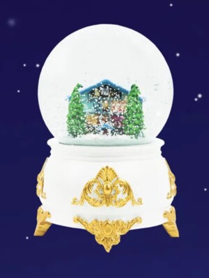Snow Globe♡Taylor Swift Unboxing the Magical Taylor Swift Lover Snow Globe | TikTok