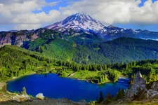 Mount Rainier National Park Panoramic Picture Art Wall - POSTER 20x30