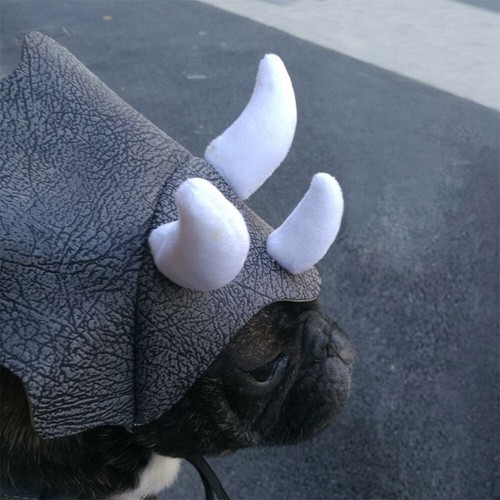 Chapeau de officiel cosplay pour animaux de compagnie chapeau tricératops chien boucle réglable costume festival chapeau pour animaux de compagnie