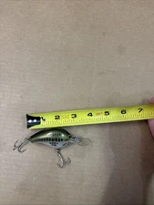 Bagley Fishing Lure