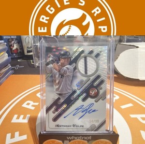 Anthony Volpe Autograph | eBay