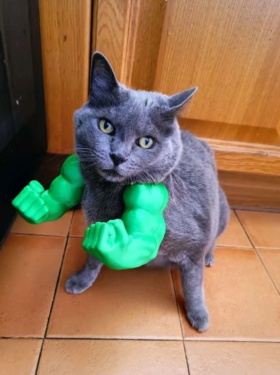 Brazos de Hulk para Gato - Divertido Accesorio para Disfraz de Mascota, Músculos Foto 2 de 4