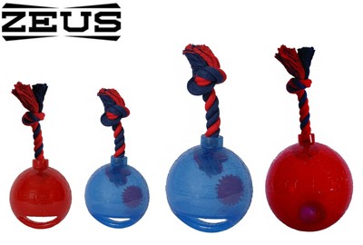 dog ball with light inside