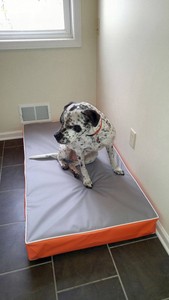 dog bed out of crib mattress