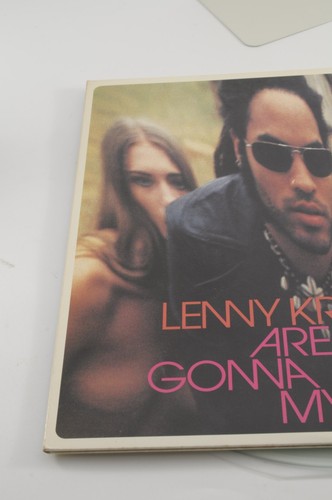 Lenny Kravitz – Are You Gonna Go My Way 1993 Us Orig ( 2LP and CD/NM-/Vg++)/345 - Picture 5 of 15