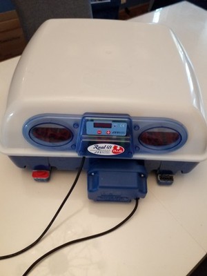 Brutautomat Brüter Borrotto Real 49 +