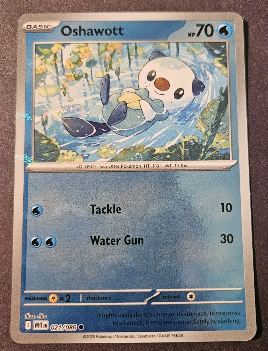 Oshawott 21/86 Pokeball Reverse Holo White Flare NM Fast Shipping