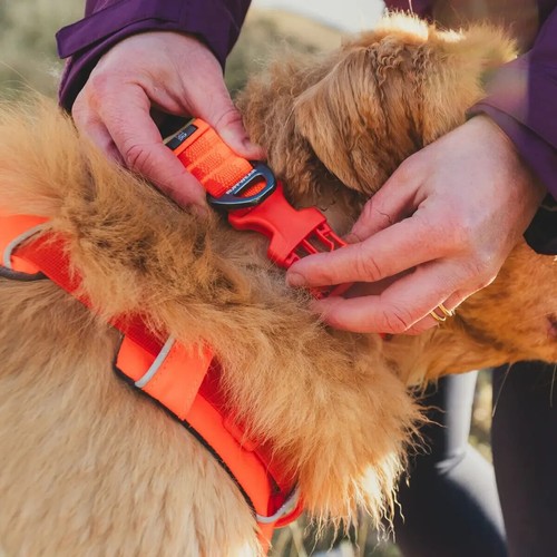 Ruffwear Dog Collar Light for Small Medium Large Dogs Front Range Collection New - Picture 24 of 32