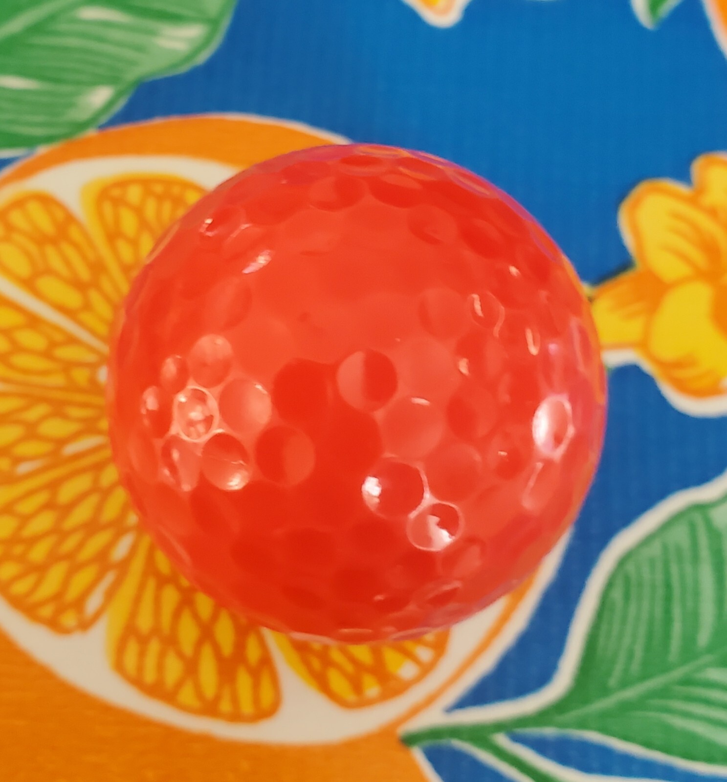Picture 4 of 6