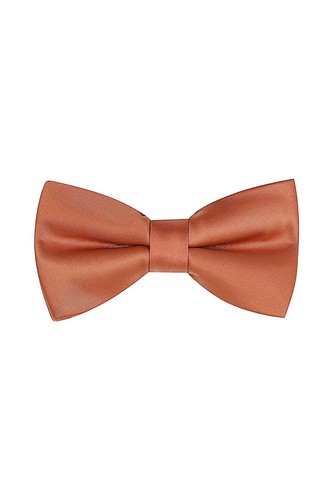 Pastel Copper Rust Tie pocket square Bow tie Hanky Wedding formal Prom Races - Picture 15 of 20