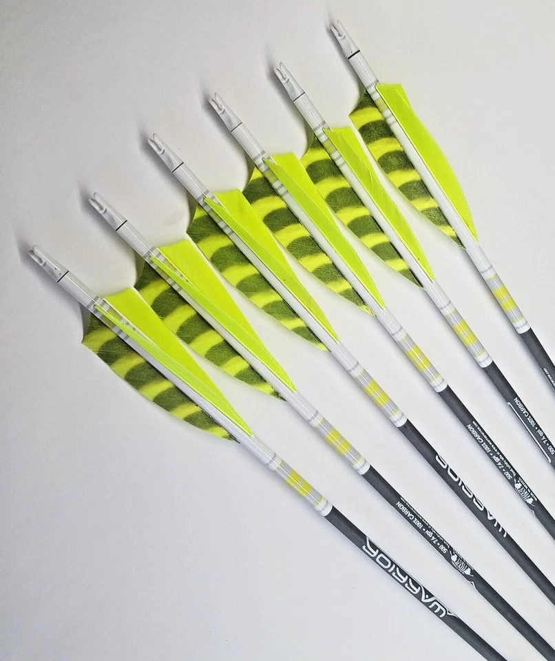 Стрелы Goldtip Warriors для традиционной стрельбы из лука - Изображение 2 из 4