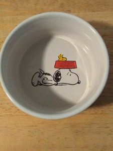snoopy dog dish