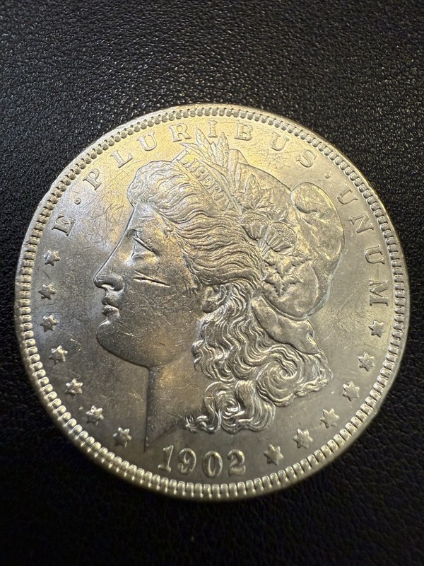 1902 Morgan Silver Dollar - H12637