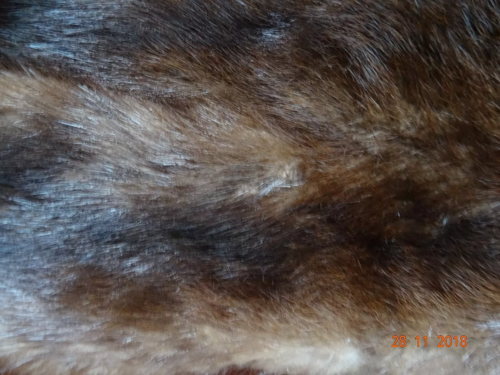Picture 10 of 11
