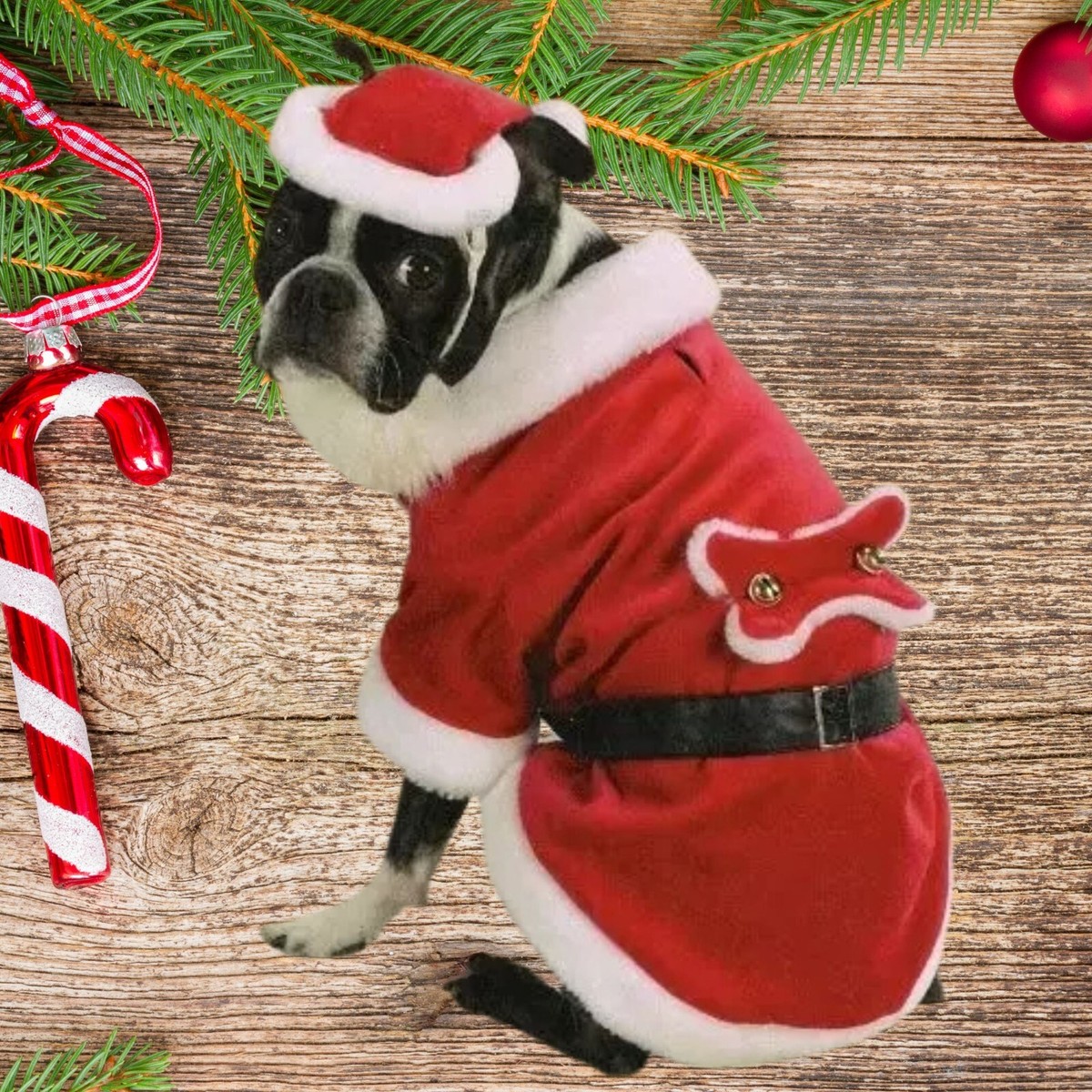 holiday dress up dog Zack Zoey Santa Paws Costume XS Puppy Claus Christmas Halloween Extra Small dog christmas outfit