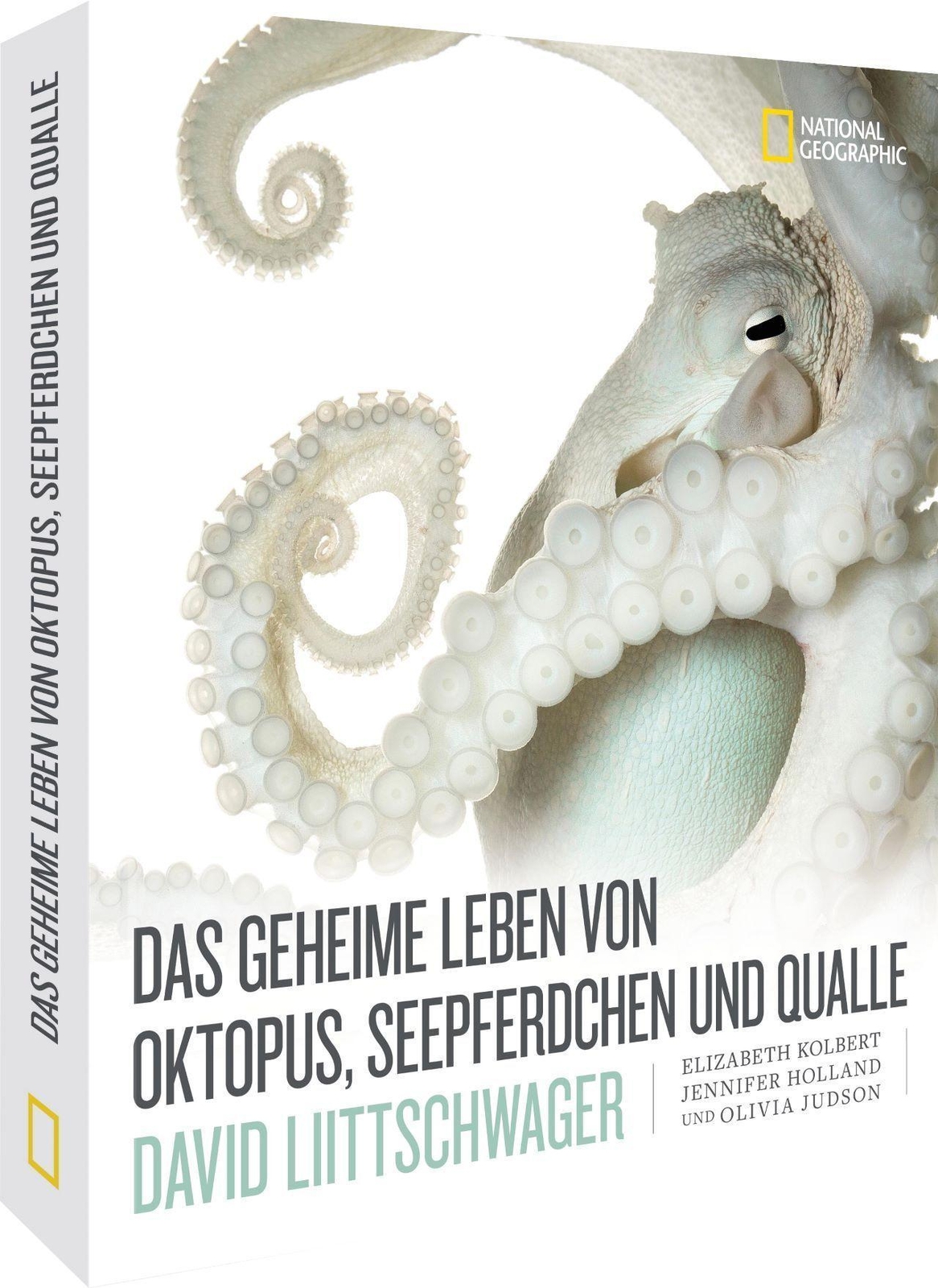 Thumbnail - Das Geheime Leben Von Oktopus, Seepferdchen Und Qualle David