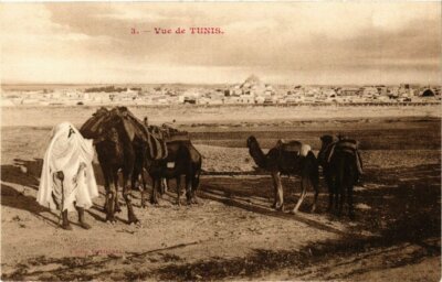 CPA AK TUNISIE Vue de TUNIS (239463) | eBay