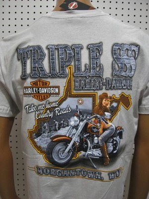 Large nwt Mens HARLEY DAVIDSON *Uproar* Gray Tee Shirt Triple S H-D