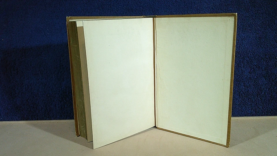 CAPTAIN RALPH BONEHILL (EDWARD STRATEMEYER) OFF FOR HAWAII FLAG FREEDOM 1899 - Image 4 of 4