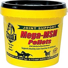 RICHDEL MegaMSM Pellets for Horses, 5.6 lbs Supplement