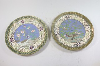 Paar Wandteller Cloisonne Messing emailliert Qing Dynastie China 19.Jhd (IK598)