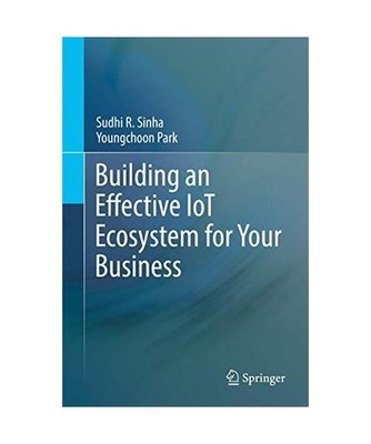 Building an Effective IoT Ecosystem for Your Business, Park, Youngchoon