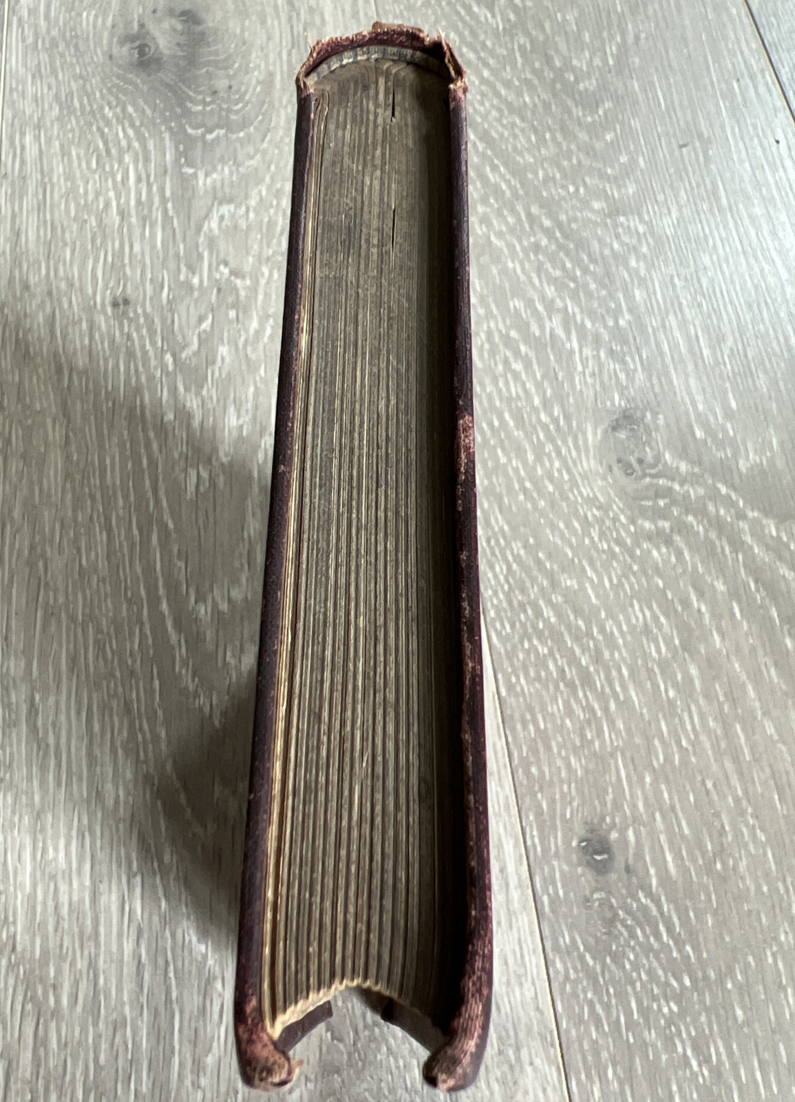 Picture 4 of 24