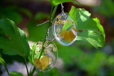 Echt Blumenharz Ohrringe - Geschenk Blumenschmuck - Handarbeit.   Ohrringe - bunt