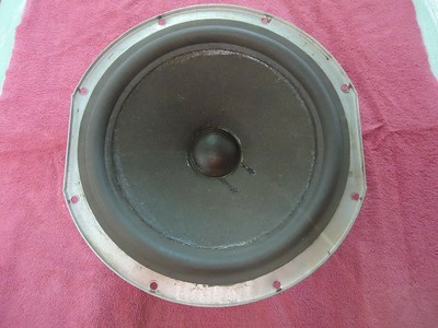 acoustic 12 inch speakers