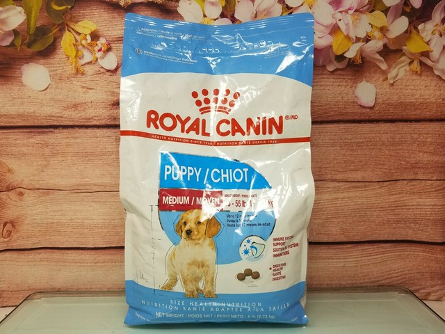 royal canin ebay