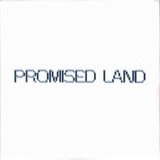 Vintage Culture / PROMISED LAND (LTD. MARBLE ...