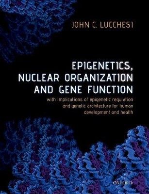 EPIGENETICS, NUCLEAR ORGANIZATION & GENE FUNCTION: WITH By John C. Lucchesi