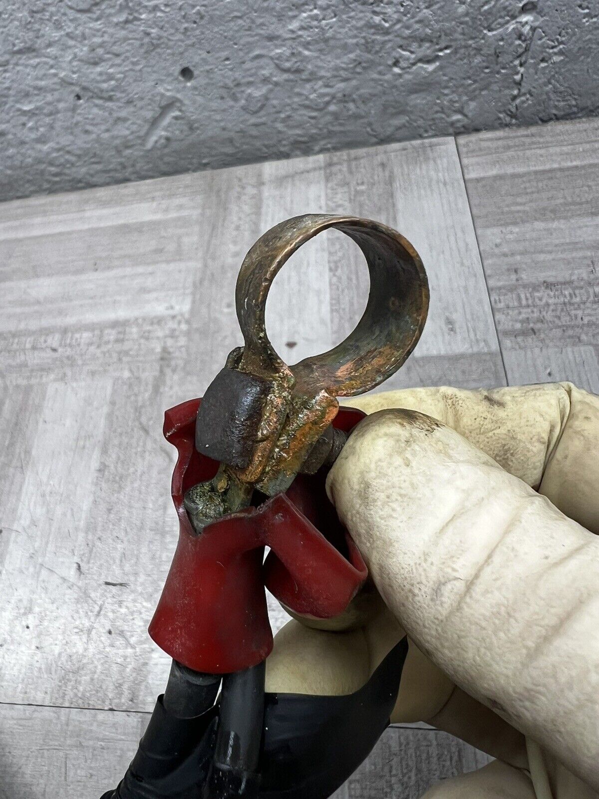 Picture 5 of 6