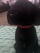 FAO Schwarz Black Labrador Retriever Puppy Plush Stuffed Animal Dog 11"