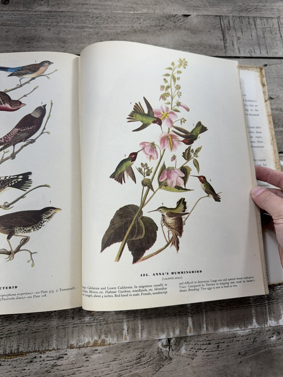 1946 Naturalist Book 