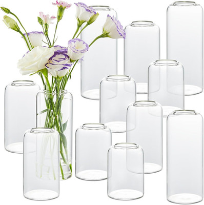 Bud Vases in Bulk Set of 12, Glass Small Vases for Flowers, Modern Cylinder Flow